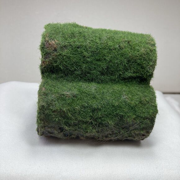 Penn-Plax Hideaway Pipes Aquarium Decoration Ornament Small 3"x3"x3" Territorial - Picture 1 of 8